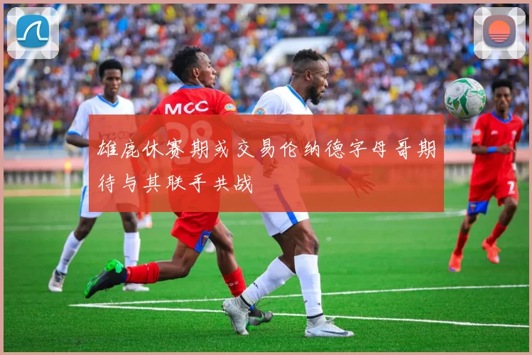 雄鹿休赛期或交易伦纳德字母哥期待与其联手共战